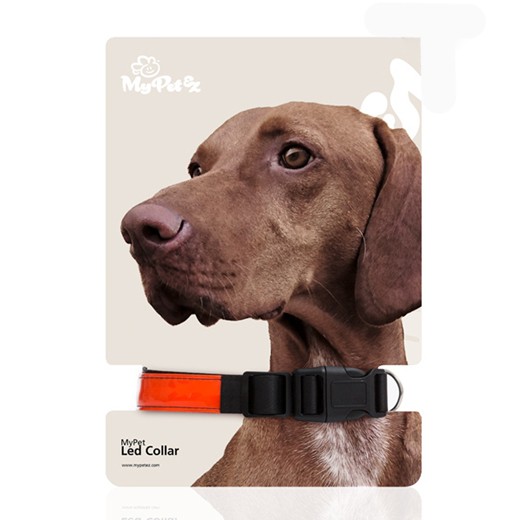 Coleira para Cão LED Coleira para Cão LED