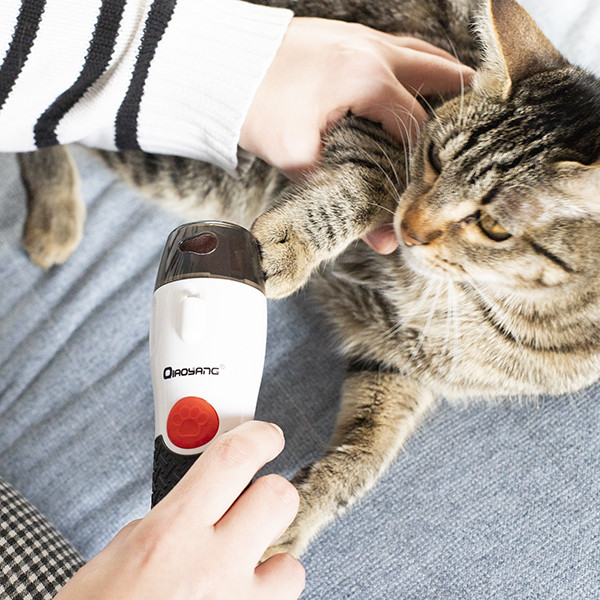 Lima de Unhas para Animais